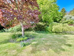 Photo 44- click for photo gallery